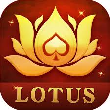 teen patti vungo customer care number download